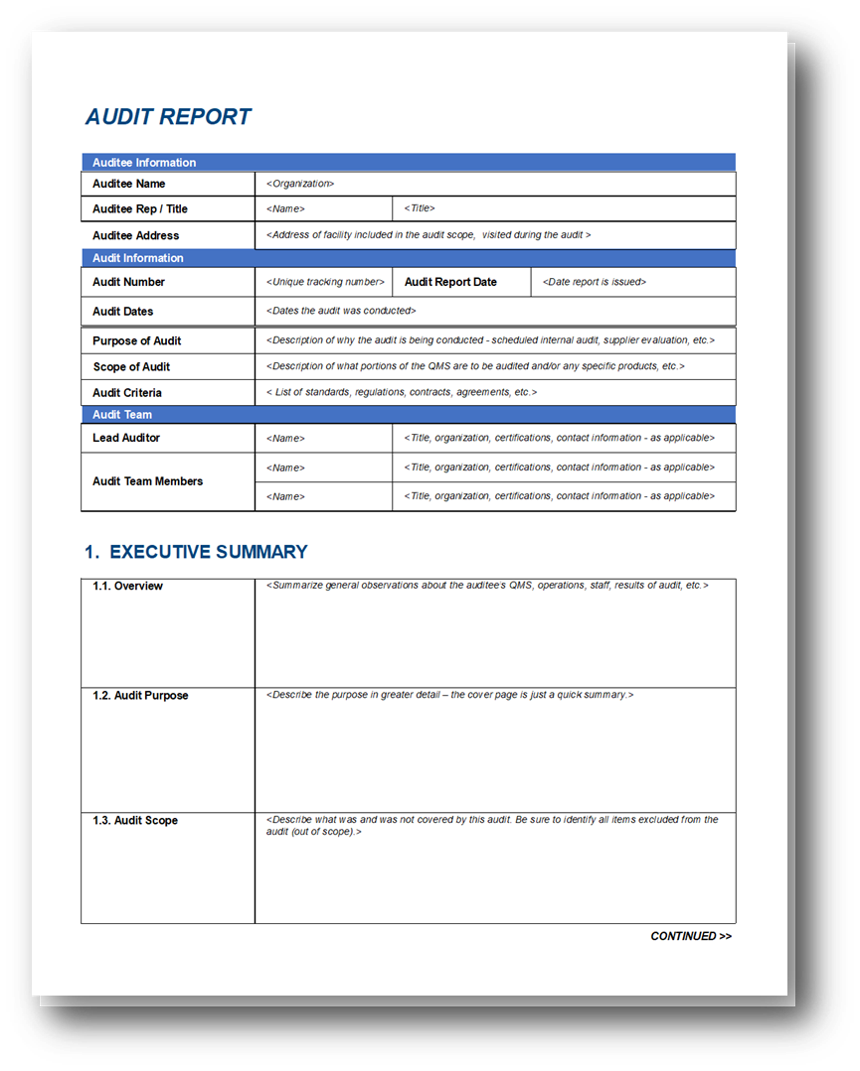 Auditreport 3 Oriel Stat A Matrix Blog